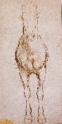 LEONARDO da Vinci, Study of the proportion of horses